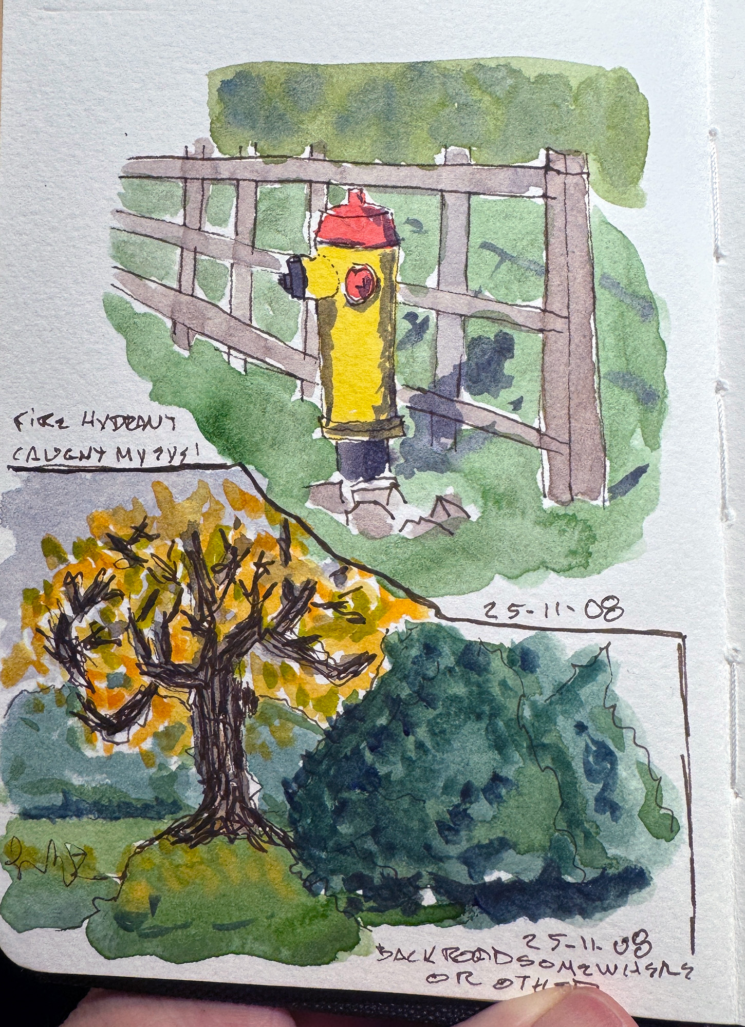 Line and wash sketch. Sketch of a yellow fire hydrant with a red top, and a wooden rail fence in the background. A different sketch on the bottom left is that of an old tree with gnarled branches and orange leaves.