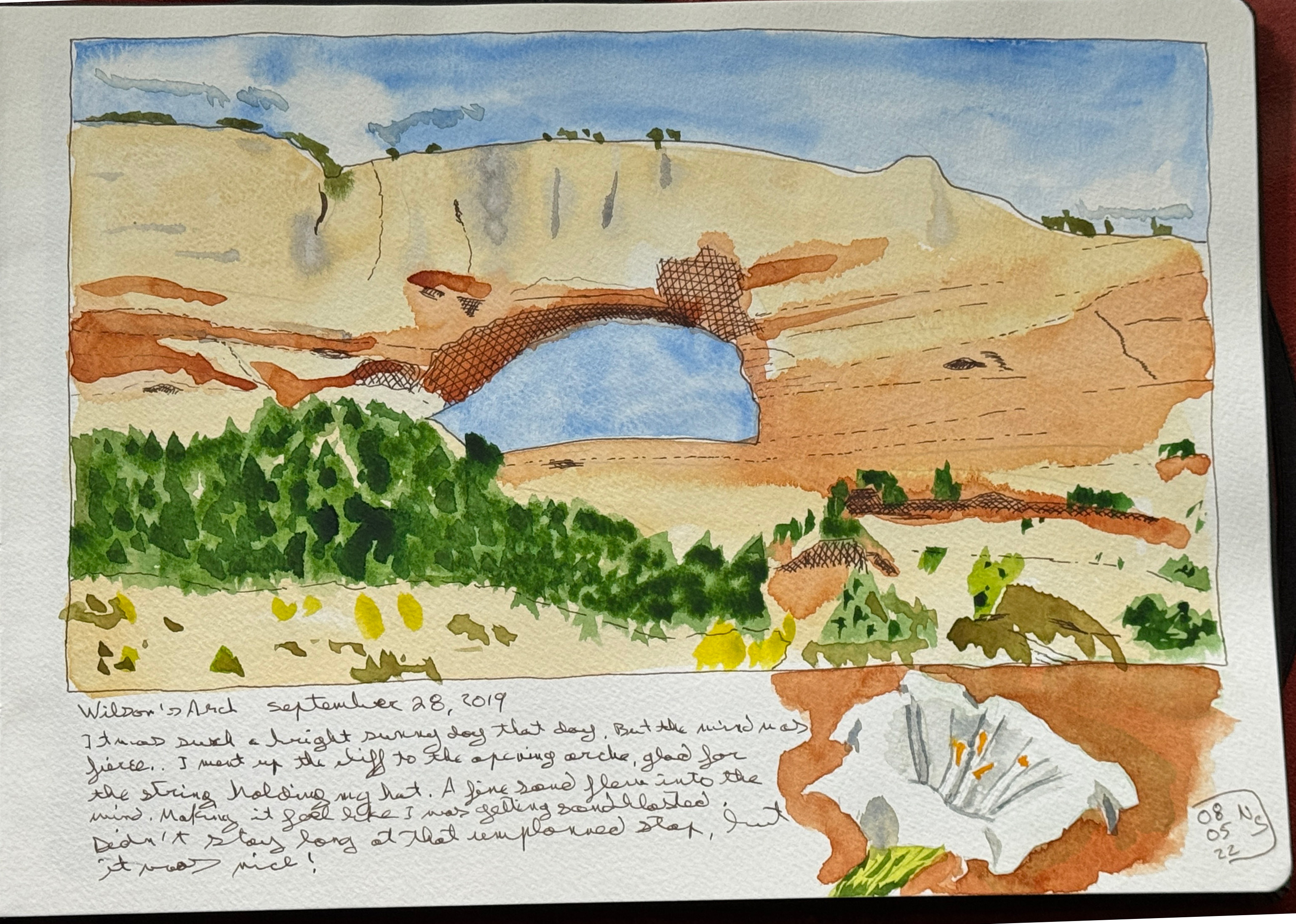 Line and wash sketch. Huge sandstone arch viewed from the bottom of a small hill. There is a flower detailed in a cartouche, and some text. The text reads: Wilson's Arch, September 28, 2019. It was such a bright sunny day that day. But the wind was fierce. I went up the cliff to the opening arch, glad for the string holding my hat. A fine sand flew into the wind. Making it feel like I was getting sandblasted. Didn't stay long at that unplanned stop, but it was nice.